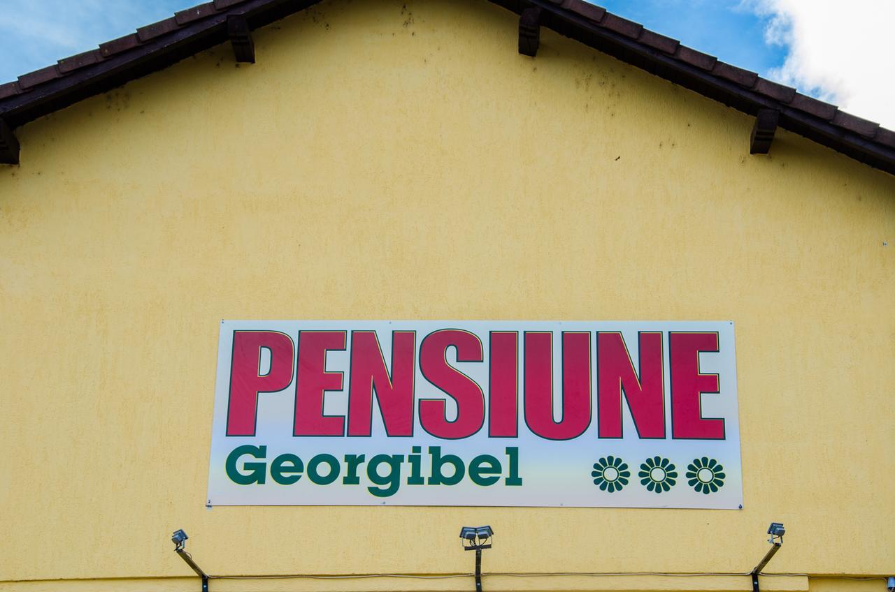 Pensiunea Georgibel Deva Bagian luar foto